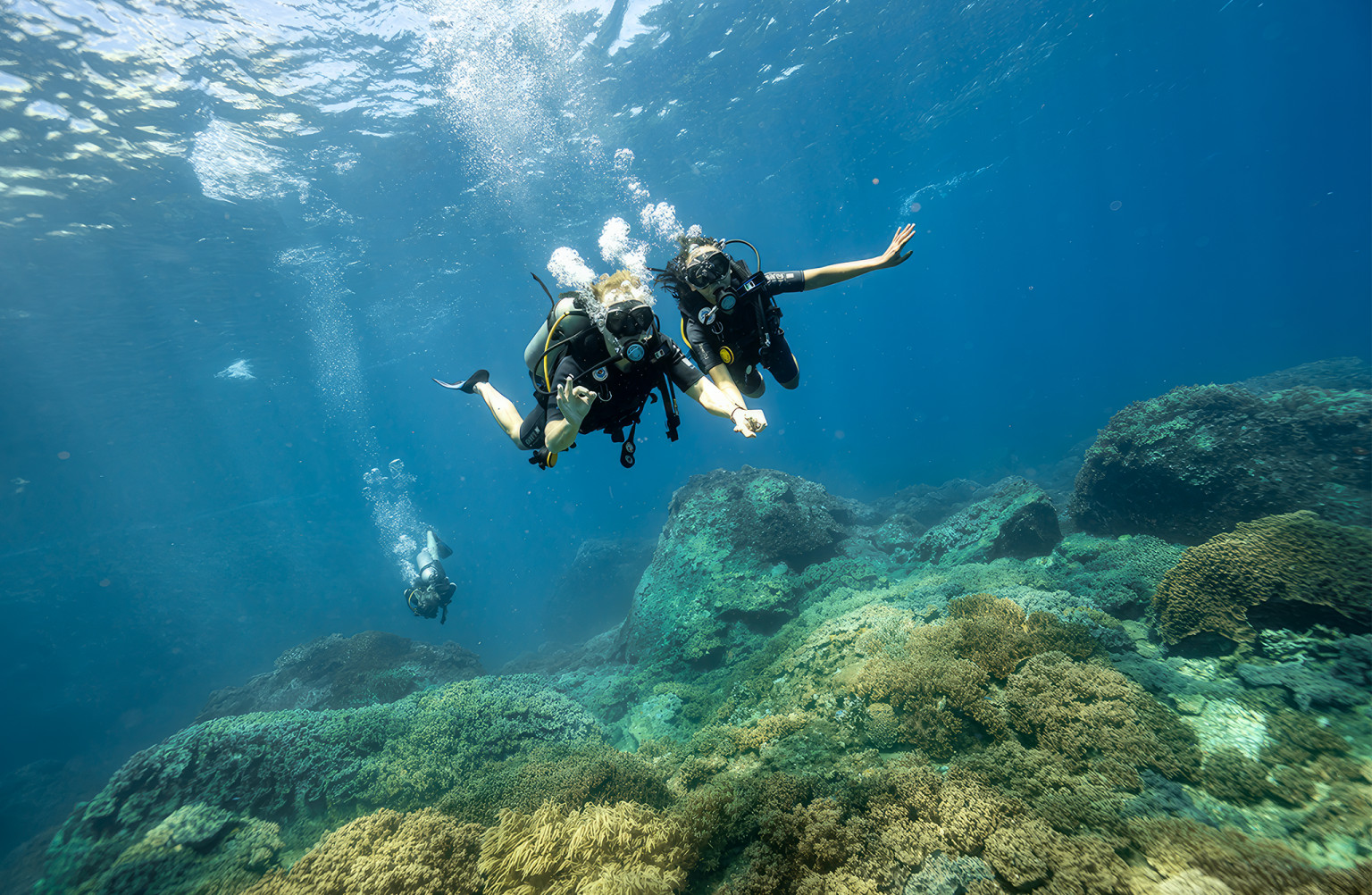 BEGINNER DIVE (NON-CERTIFIED DIVERS) - 2.100.000 vnd/pax - Cham Island ...