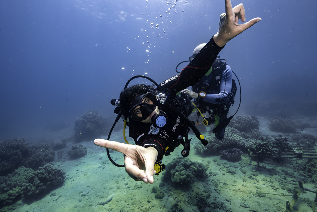 BEGINNER DIVE (NONCERTIFIED DIVERS) 1.900.000 vnd/pax Cham Island